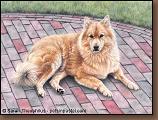 Andy Finnish Spitz Painting