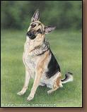 Brynne - German Shepherd Painting