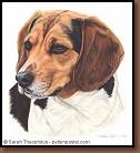Casey - Beagle Painting