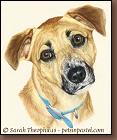 Chelsea - Mixed Breed Painting