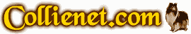 CollieNet.com