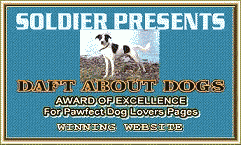 Daft About Dogs Award of Excellence