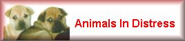 Animals in Distress, 24 hour animal rescue
