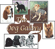 Pets in Pastel: Lifelike Pet Portraits From Your Photos