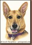 Emily - Mixed Breed Dog Painting