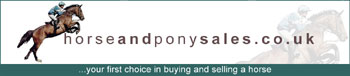 Horse & Pony Sales