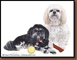 Echo & Lucy - Lhasa Apso Painting