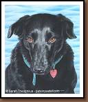 Lilly - Labrador Retriever Painting