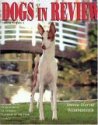 Dogs in Review