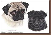 Ming & Winnie - Pug Painting