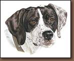 Millie - English Shorthaired Pointer Painting