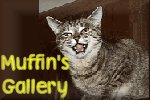 Muffin's Photo Gallery for Cats, Dogs, Rabbits & more...