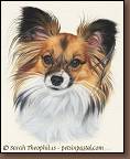Mykonos - Papillon Dog Portrait