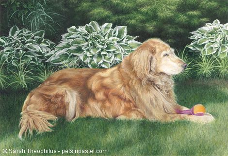 Portrait of Amanda