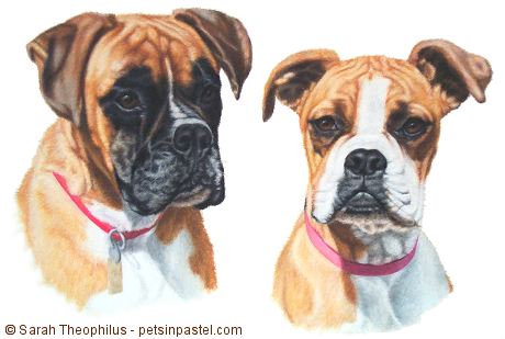 Portrait of Bonnie and Hanson