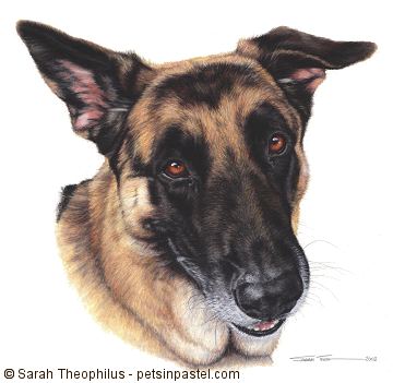Portrait of Bart