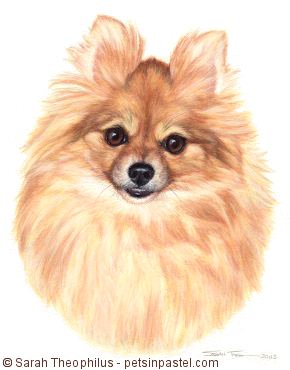 Portrait of Brandy