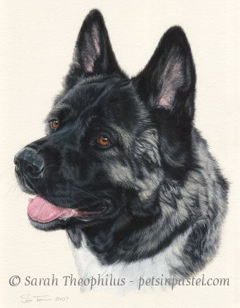 Portrait of Bronson