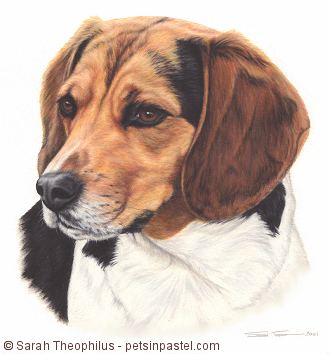 Portrait of Casey