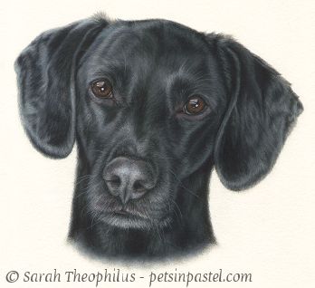 Portrait of Cayce