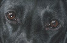 Cayce's detail