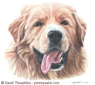 Portrait of Dawson