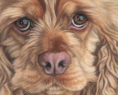 Ellie's detail