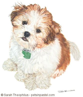 Portrait of Gamin