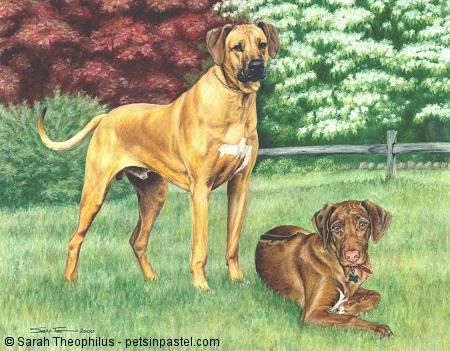 Portrait of Gryphon and Riggs