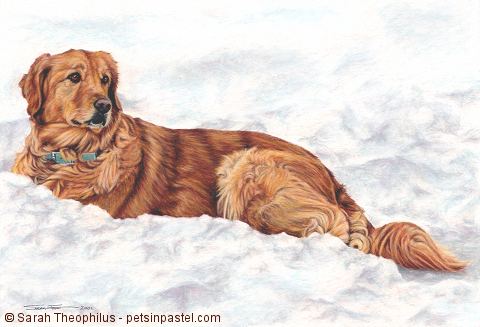 Portrait of Ginger