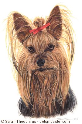 Portrait of Kes