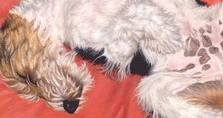 Kimba's detail