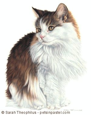 Portrait of Kittyface