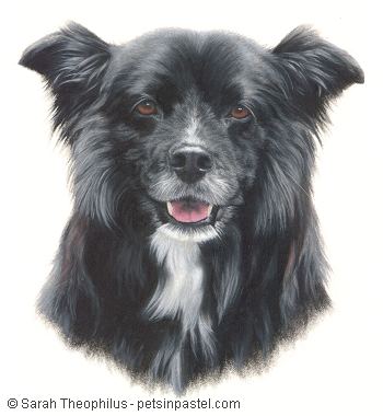 Portrait of Linus