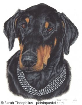 Portrait of Max