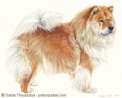 Portrait of Mercedes