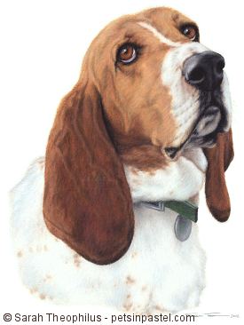 Portrait of Murphy