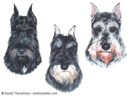 Portrait of Shadow, Dr Pepper, and Reilly