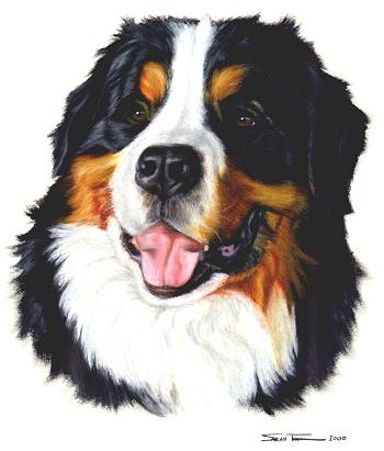 Portrait of Rex