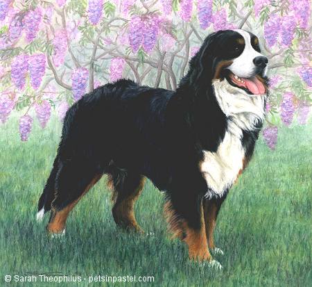 Portrait of Rex