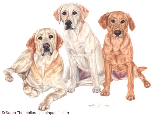 Portrait of Sheba, Hannah, and Summer