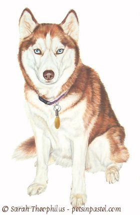 Portrait of Simba