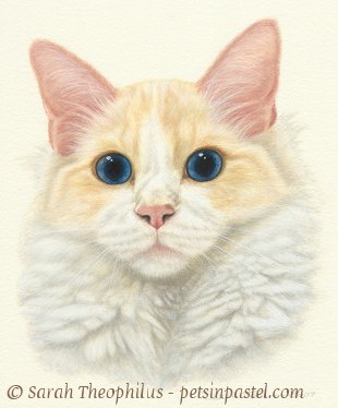 Portrait of Snuggles