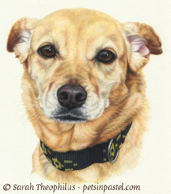 Portrait of Sportie