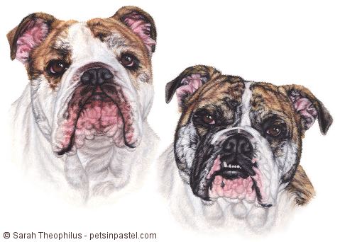 Portrait of Winston and Bailey