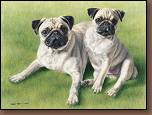 Piper & Bailey - Pug Painting