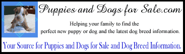 Puppies and Dogs for Sale .com