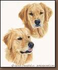 Remi & Luna - Dog Portraits