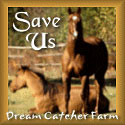 Dream Catcher Farm Horse Sanctuary