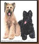 Totsy & Mylo - Briard Painting